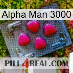 Alpha Man 3000 13